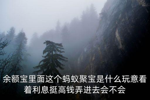 余額寶里面這個(gè)螞蟻聚寶是什么玩意看著利息挺高錢弄進(jìn)去會(huì)不會(huì)