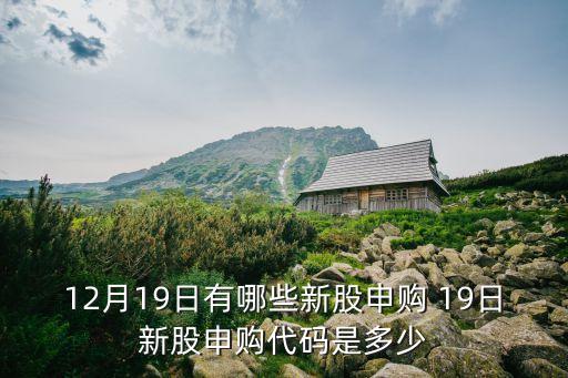 12月19日有哪些新股申購 19日新股申購代碼是多少