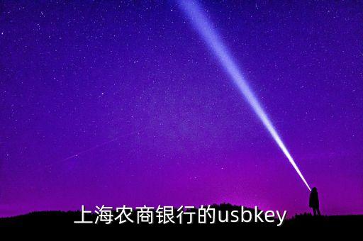 上海農(nóng)商銀行的usbkey