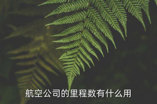 飛行里程有什么用，各大航空公司的里程累積有什么用