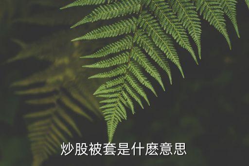 炒股被套是什麼意思