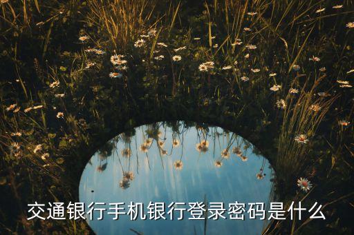 交通銀行卡密碼是什么樣的，交通銀行的個(gè)人網(wǎng)上銀行的登入密碼是哪個(gè)