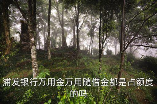 隨借金是什么意思，隨借金發(fā)卡行和卡號(hào)不一致有影響嗎
