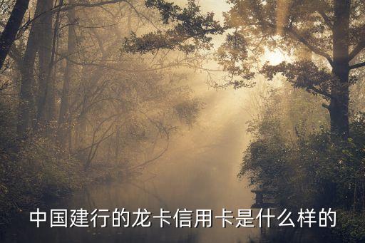 中國建行的龍卡信用卡是什么樣的