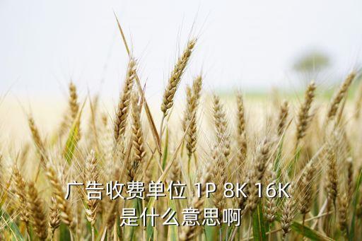 廣告收費(fèi)單位 1P 8K 16K 是什么意思啊
