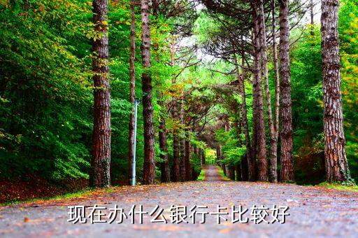 現(xiàn)在辦什么銀行卡比較好
