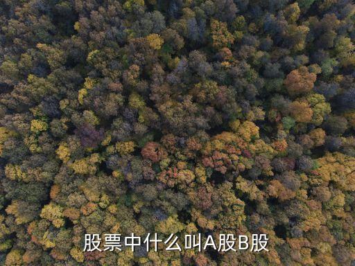 b股是什么意思，股票中什么叫A股B股