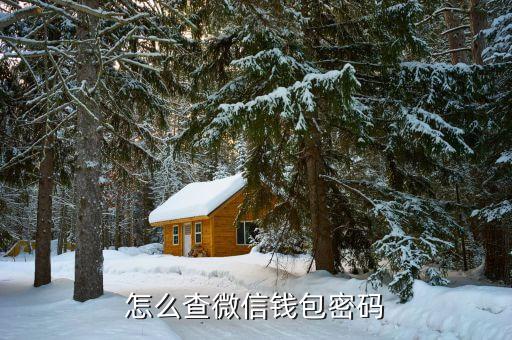 微信錢包查看密碼是什么，微信里面怎么看支付密碼是什么