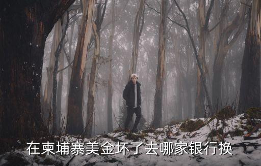 在柬埔寨美金壞了去哪家銀行換