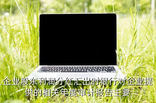 企業(yè)股東利潤分紅匯出時銀行對企業(yè)提供的相關(guān)年度審計報告主要
