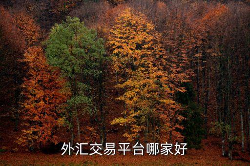 外匯交易平臺哪家好