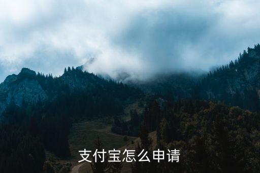 什么申請(qǐng)一個(gè)支付寶，怎樣注冊(cè)支付寶帳號(hào)