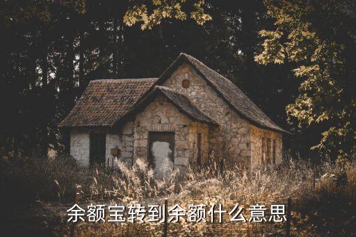 余額寶轉(zhuǎn)到余額什么意思