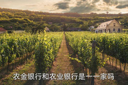 農(nóng)金銀行還叫什么銀行，農(nóng)村信用社的另一個名字是什么