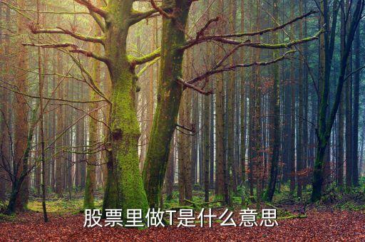 股票t是啥意思是什么，股票的T指標(biāo)是什么意思