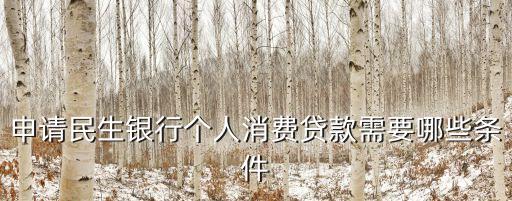 申請民生銀行個(gè)人消費(fèi)貸款需要哪些條件
