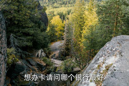 在什么銀行辦銀行卡好，辦銀行卡在哪個(gè)銀行辦比較好