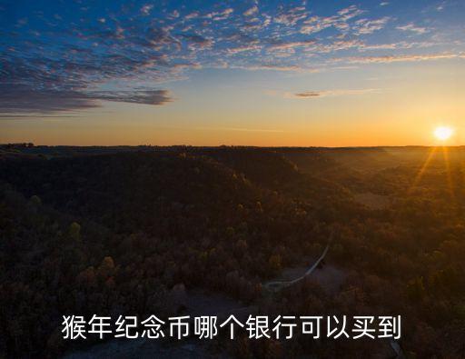 紀(jì)念幣什么銀行可以買，哪個銀行賣各種紀(jì)念幣