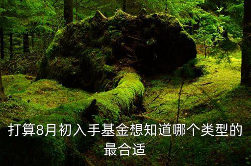 打算8月初入手基金想知道哪個類型的最合適