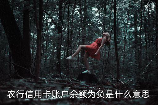 農行信用卡賬戶余額為負是什么意思