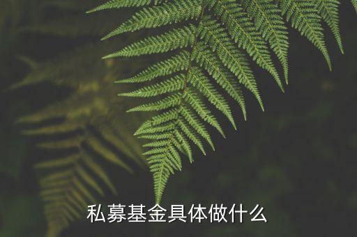 私募基金具體做什么