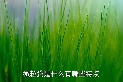 微粒寶是什么，微粒貸是什么有哪些特點(diǎn)