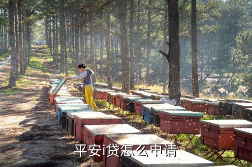 平安i貸要什么資料，申請(qǐng)平安普惠i貸有哪些條件