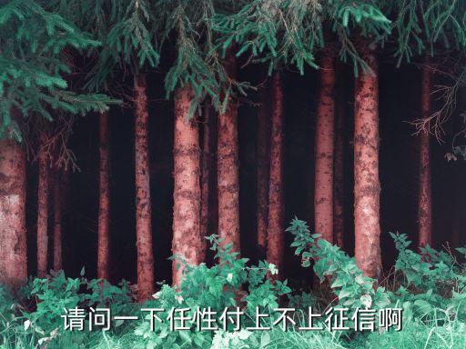 請(qǐng)問一下任性付上不上征信啊
