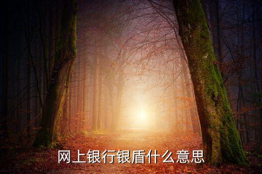 網(wǎng)上銀行銀盾什么意思