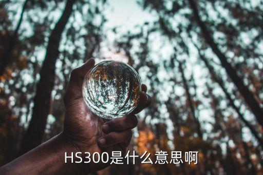 HS300是什么意思啊