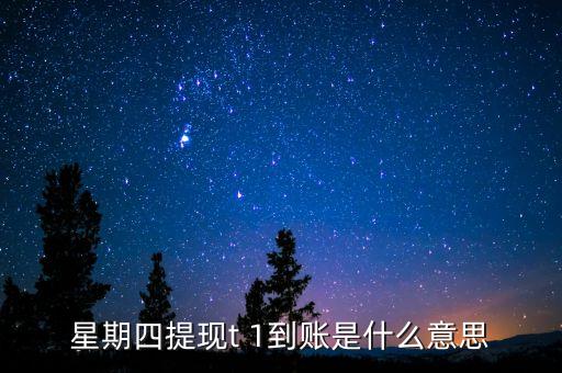 星期四提現(xiàn)t 1到賬是什么意思