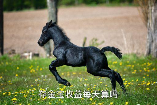 存金寶屬于什么，存金寶休市是什么意思
