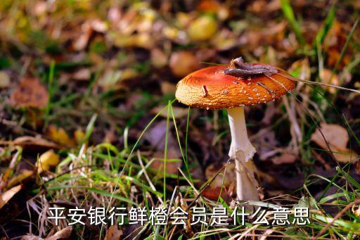 平安銀行會(huì)員是什么意思，平安車(chē)險(xiǎn)會(huì)員是什么卡