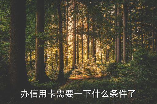 去銀行辦信用卡要什么條件，辦信用卡需要什么條件