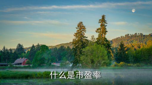 什么是市盈率
