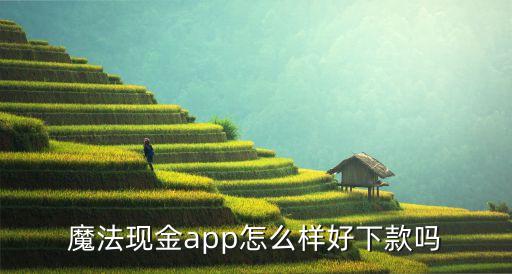 魔法現(xiàn)金怎么下款的，求介紹流程簡(jiǎn)單的借款A(yù)PP