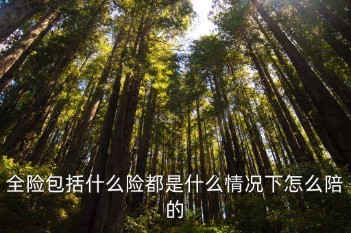 全險(xiǎn)包括什么險(xiǎn)都是什么情況下怎么陪的
