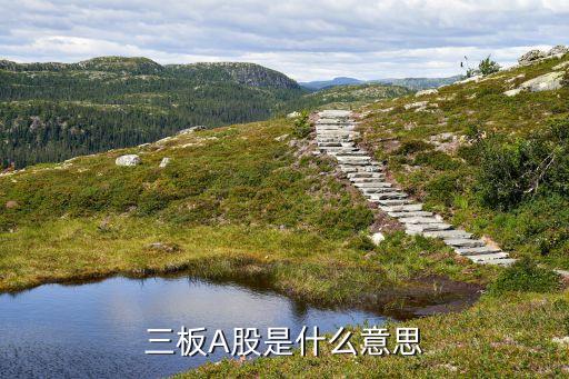 什么叫三板股票，三板A股是什么意思