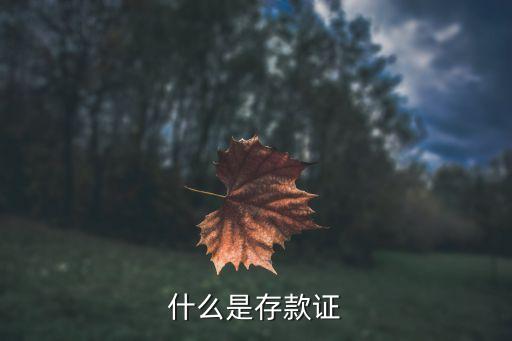 什么是存款證