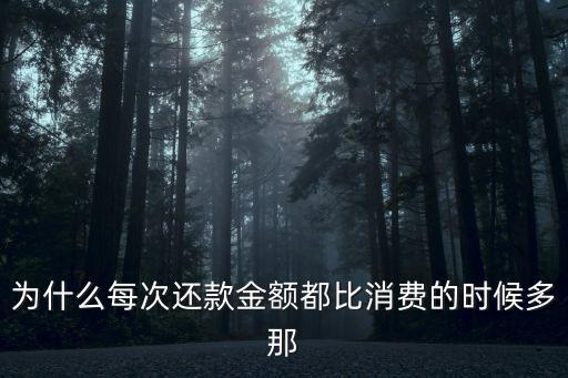 為什么每次還款金額都比消費(fèi)的時(shí)候多那