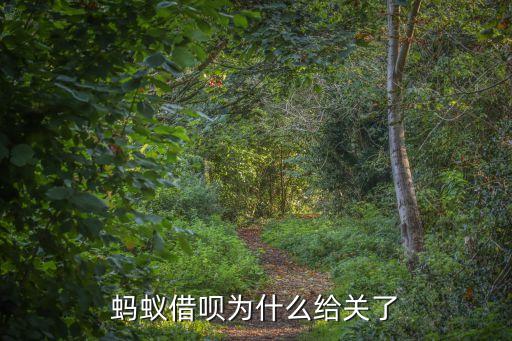 螞蟻借唄為什么給關(guān)了