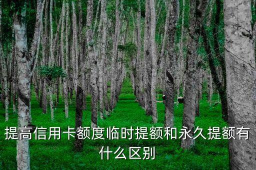 提高信用卡額度臨時(shí)提額和永久提額有什么區(qū)別