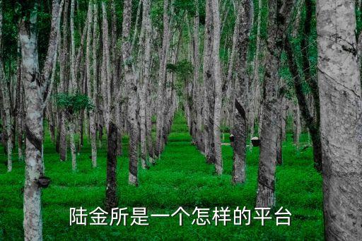 平安陸金所是個(gè)什么意思，問一下陸金所是干嘛用的啊