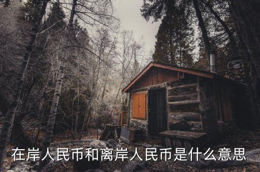 在岸交易是什么意思，離岸在岸中間價(jià)金融名詞怎么解釋