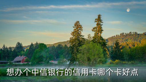 想辦個中信銀行的信用卡哪個卡好點