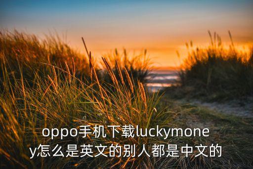 壹錢包為什么都是英文，我的微信錢包怎么都是英文