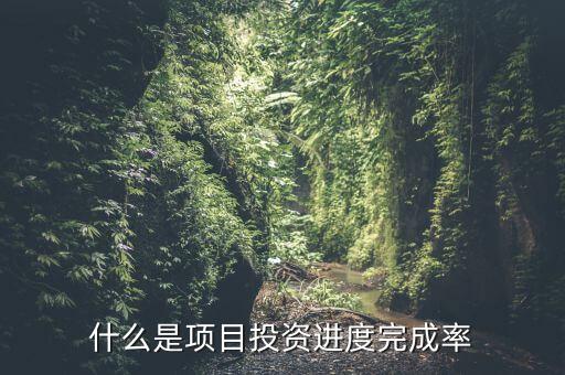 什么是項目投資進度完成率