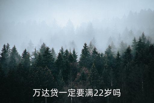 萬達貸需要什么條件，萬達貸一定要滿22歲嗎