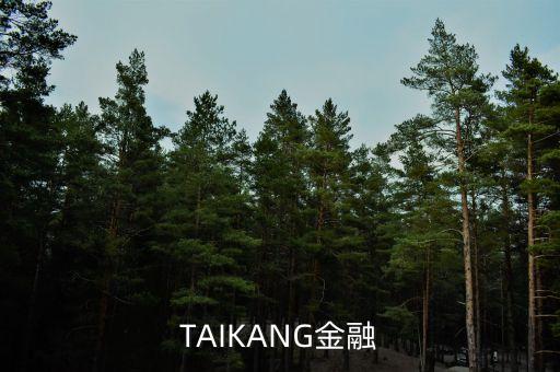 TAIKANG金融