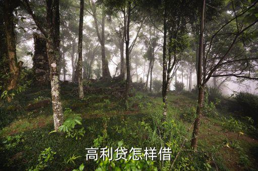 高利貸怎樣借